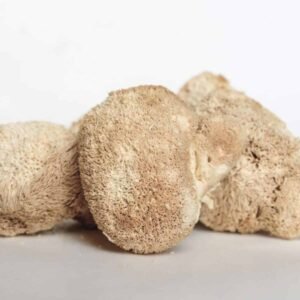 Džiovinti Liūto karčiai grybas