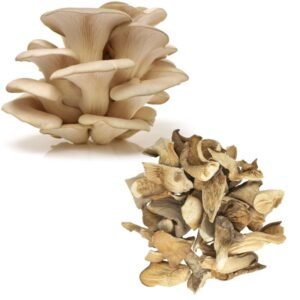 Džiovintos gluosninės kreivabudės