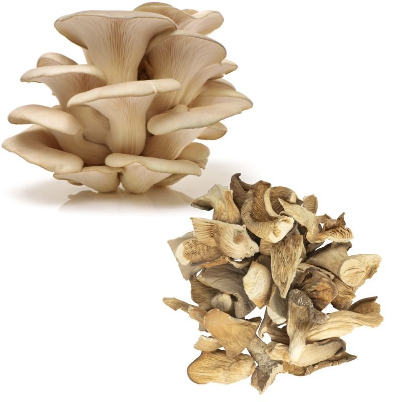 Džiovintos gluosninės kreivabudės